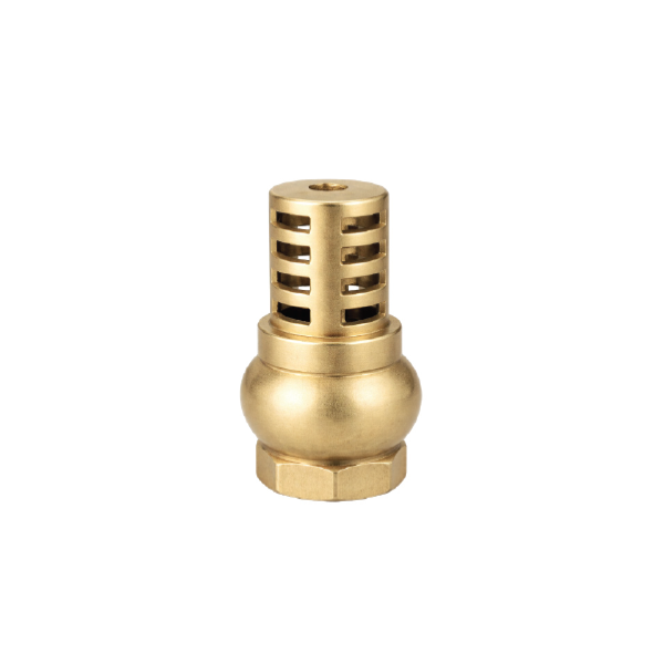 Foot Valve Brass Filter